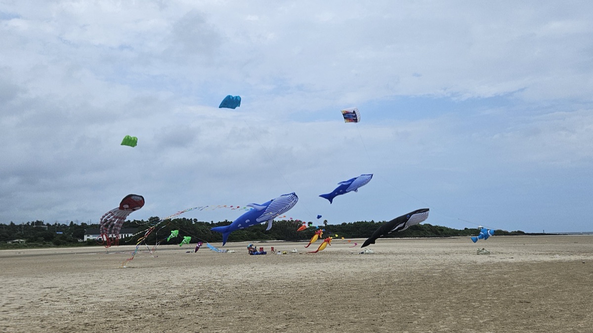 한국 연 축제